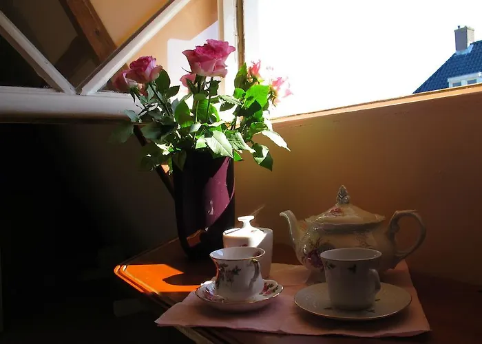 Wild Roses Hotel Amsterdam